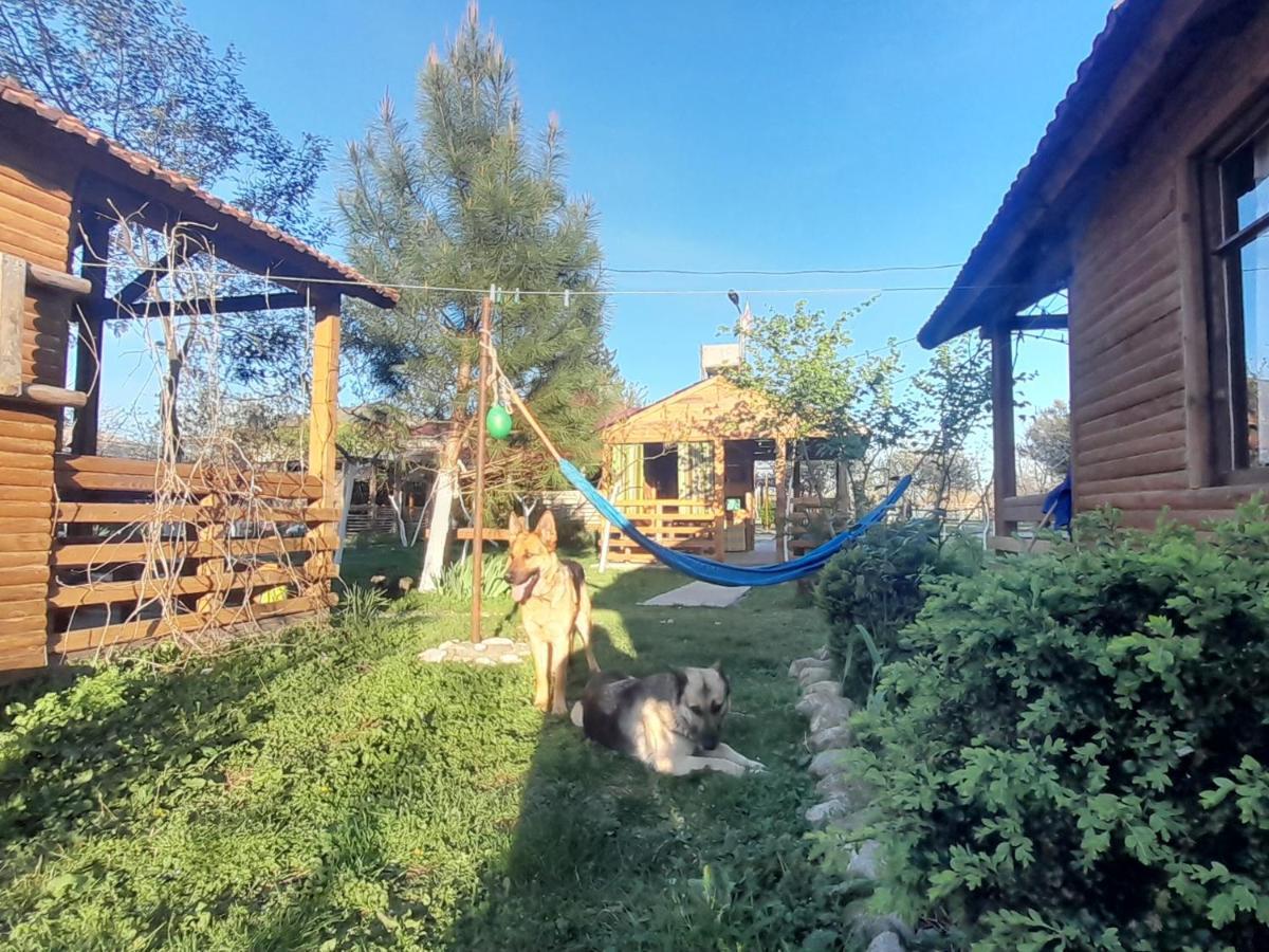 Tiny Houses Genacvale Martvili Esterno foto