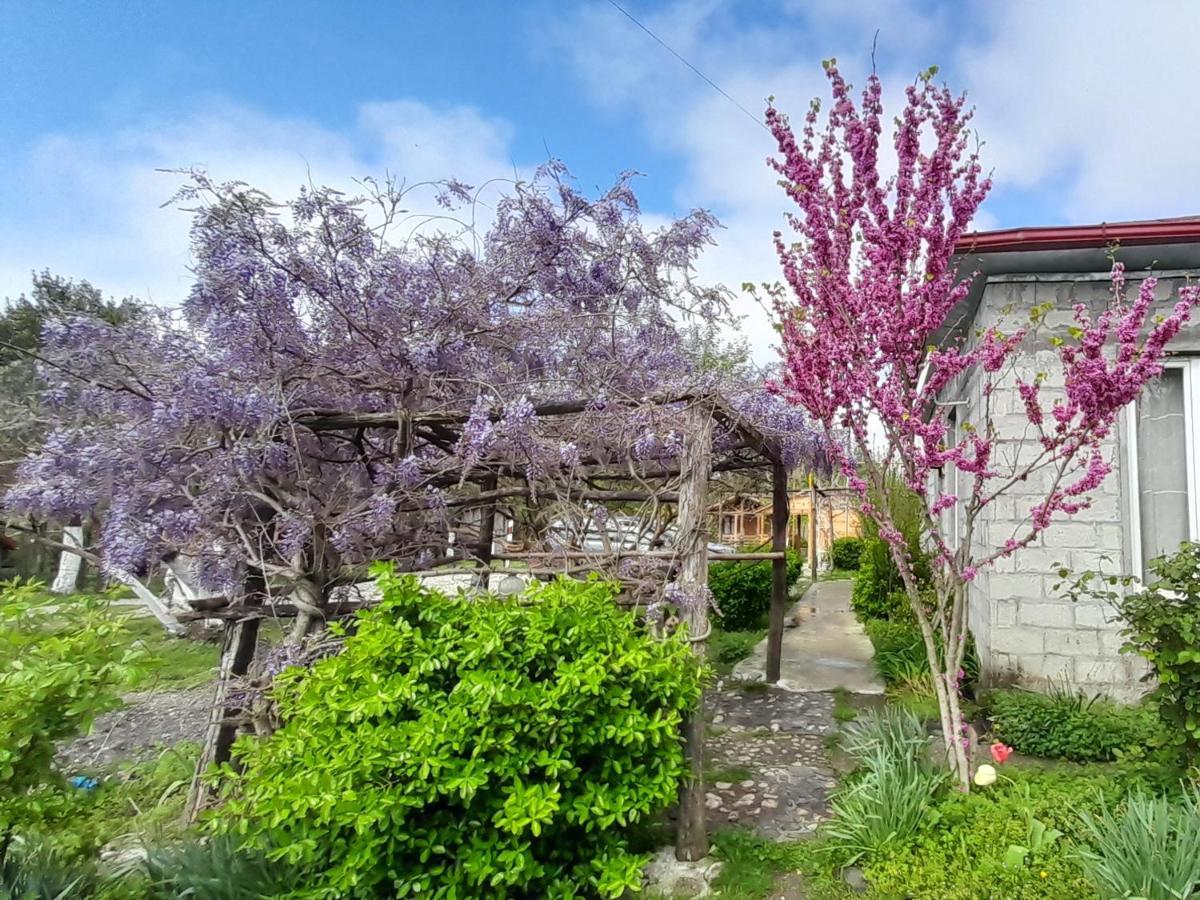Tiny Houses Genacvale Martvili Esterno foto