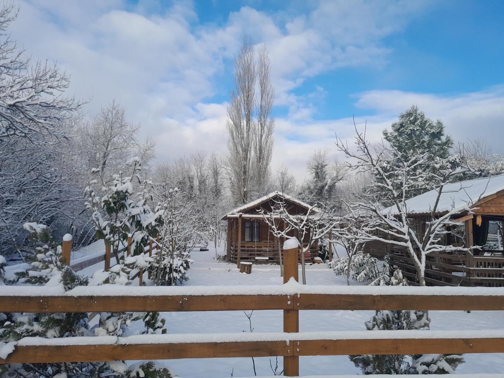 Tiny Houses Genacvale Martvili Esterno foto